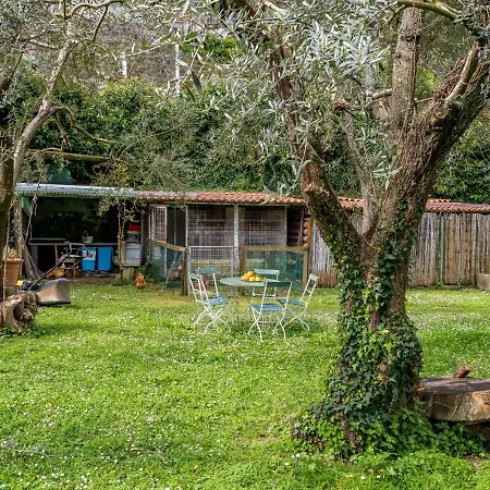Appartement Villino Sally Sorrento Coast *